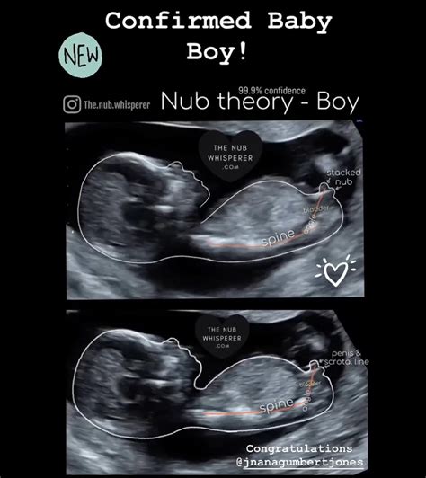 nub theory 13 weeks